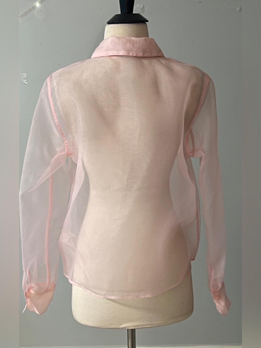 Rachel Zoe Sheer Pink Organza Button Front Blouse Size Small - Picture 4 of 10